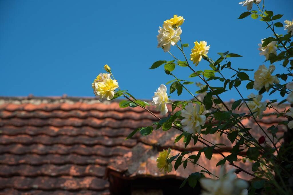 Vila La Ferme Du Coustal Vialot Exteriér fotografie
